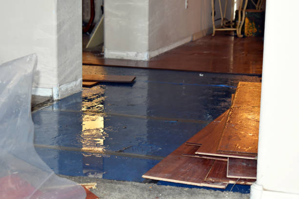 Professional Emergency Water Damage Restoration technician working in West Liberty, IA